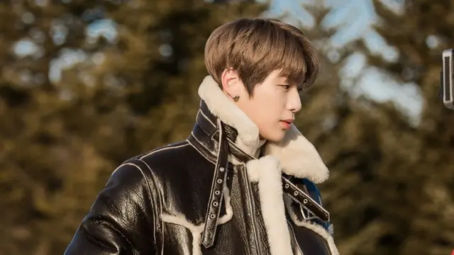 Kang Daniel Wanna One (Naver/ davichi)
