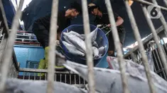 Aktivitas nelayan melakukan bongkar muat ikan hasil tangkapan dari kapal saat berlabuh di Pelabuhan Nizam Zachman, Muara Baru, Jakarta, Rabu (10/5/2023). (merdeka.com/Iqbal S Nugroho)