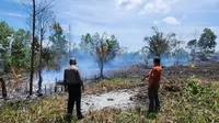 Kebakaran lahan di Kabupaten Bengkalis yang disebabkan seorang warga. (Liputan6.com/M Syukur)