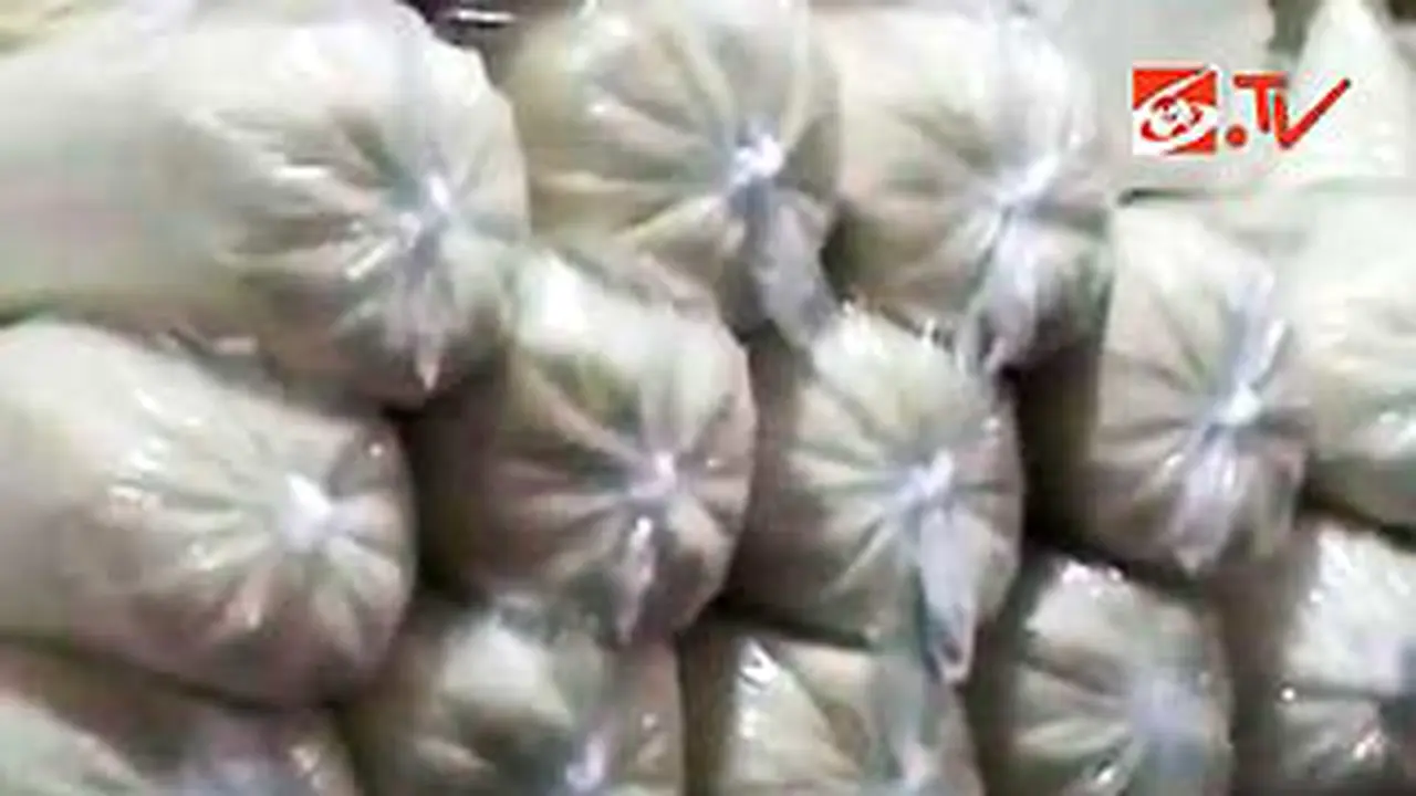 100812bgula.jpg
