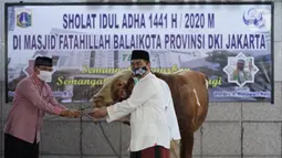 Wakil Gubernur DKI Jakarta Ahmad Riza Patria (kanan) menyerahkan sapi kurban di Balai Kota, Jakarta, Jumat (31/7/2020). Ahmad Riza Patria menyumpangkan sapi limosin dengan berat 1 ton. (Liputan6.com/Immanuel Antonius)