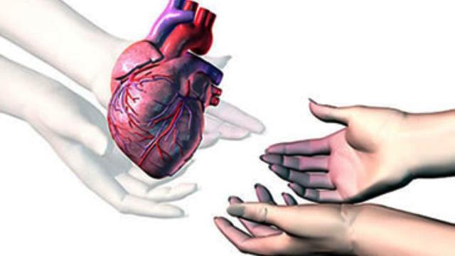 Menunggu Transplantasi Lewat Aplikasi Tinder