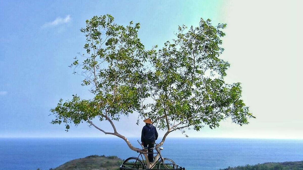 Daya Tarik Pictniq, Destinasi Menikmati Pemandangan Alam di atas Bukit Patuk Gunungkidul