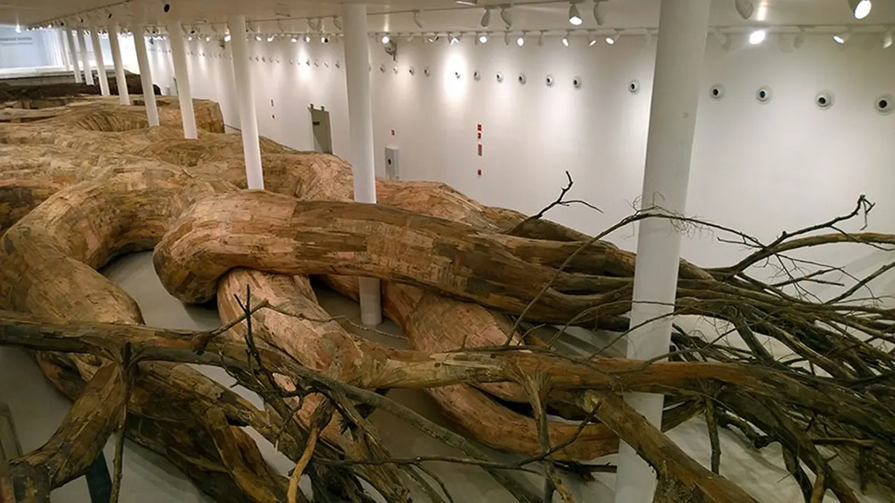 Akar Raksasa Serbu Ruang Museum di Sao Paulo!