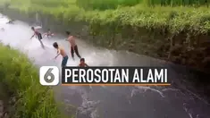 Bahagia itu sederhana. Ini yang dirasakan oleh anak-anak dan remaja yang sedang menikmati perosotan alami di tengah hamparan sawah.