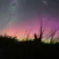 Pada Senin malam, pemburu cahaya turun membagikan ke media sosial untuk berbagi gambar cahaya ungu, oranye, dan hijau yang menyapu perbukitan Christchurch, Wellington, dan Auckland. (AFP/Sanka Vidanagama)