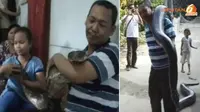 [VIDEO] Keluarga di Padang Tinggal Bersama 2 Ular Phyton