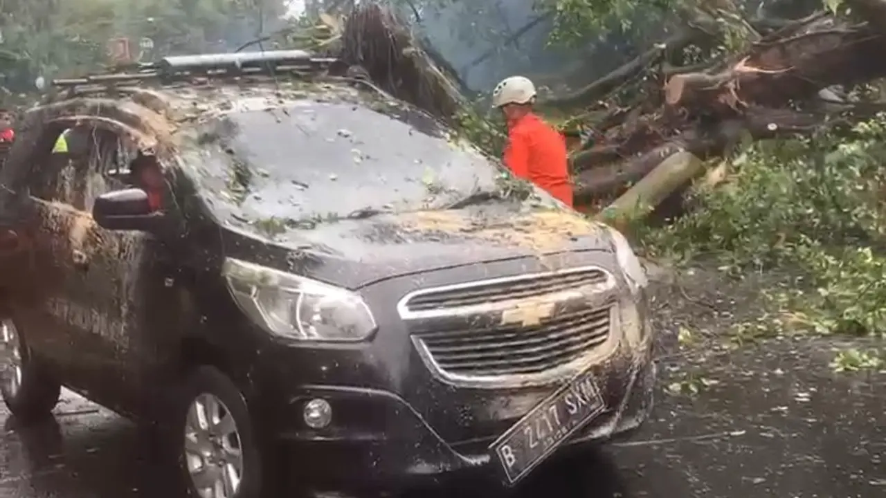 Pohon Beringin Tumbang Timpa 3 Kendaraan dan Warung di Bogor, 2 Pengendara Luka
