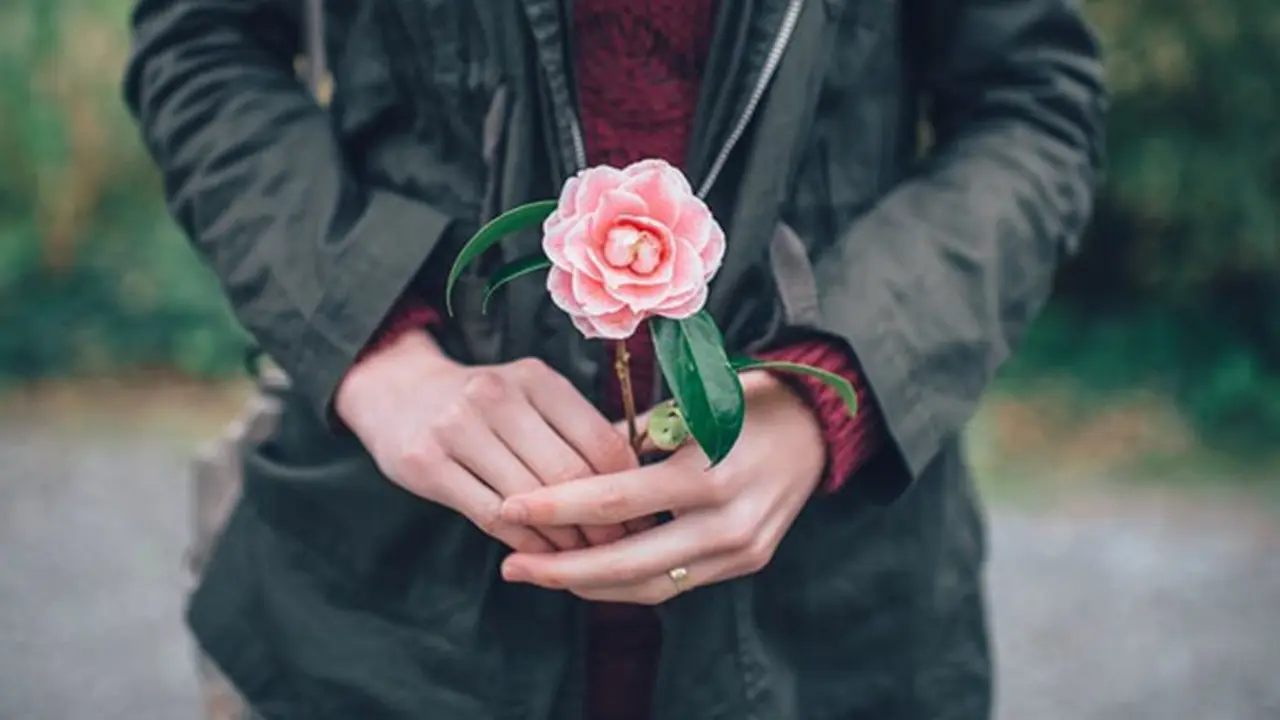 copyright by pexels.com