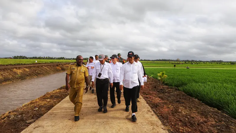 Menteri Pertanian, Andi Amran Sulaiman mengunjungi lokasi pengembangan varietas unggul padi Cakrabuana Agritan di Distrik Kurik, Kabupaten Merauke. (Dok Kementan)