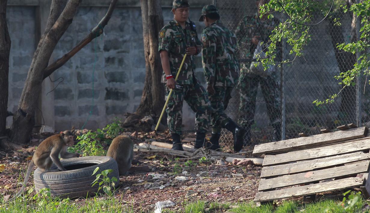 Petugas satwa berusaha menangkap monyet ekor panjang di sebuah desa, Bangkok, Thailand, (21/9/2015). Pemerintah Thailand merelokasi kera ekor panjang untuk mengurangi konflik dengan masyarakat setempat. (REUTERS/Chaiwat Subprasom)
