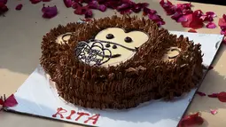 Sebuah kue ulang tahun untuk merayakan ulang tahun simpanse bernama Rita yang berusia 58 tahun di kebun binatang di New Delhi (14/12). Rita juga memperoleh bingkisan hadiah berupa selimut baru, bola sepak, dan mainan baru lainnya. (AFP Photo/Money Sharma)