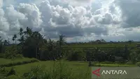 Cuaca Didominasi Awan Tebal, BMKG Beri Peringatan untuk Papua