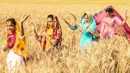 Pemuda Sikh menampilkan tarian tradisional rakyat Punjab atau Bhangra jelang festival panen Baisakhi di ladang gandum pinggiran Amritsar, India, 11 April 2021. Baisakhi adalah festival yang dirayakan di seluruh India utara, terutama di wilayah Punjab oleh komunitas Sikh. (NARINDER NANU/AFP)