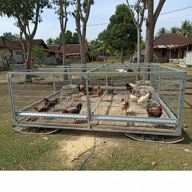 Model Kebun Ayam Umbaran dengan Pagar Sederhana di Desa (Image by Gemini AI)