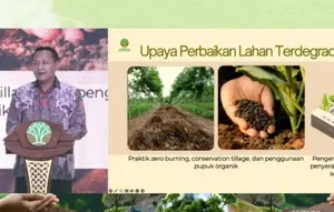 Alarm El Nino: Kemenhut Minta Rehabilitasi 12,3 Juta Hektare Lahan Kritis