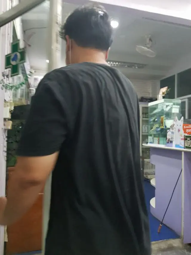 Pria dermawan menolong kecoa terluka di Thailand