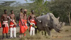Suku Maasai foto bersama dengan seekor badak putih setelah pertandingan amal kriket di kaki Gunung Kenya (18/6). Pertandingan amal ini digelar untuk meningkatkan kesadaran akan nasib badak putih yang hampir punah. (AFP Phoo/Tony Karumba)