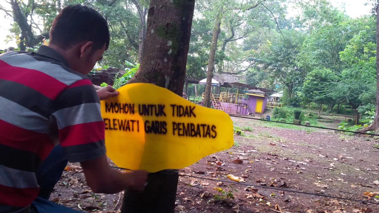 Bonbin Bandung