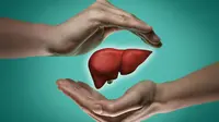 Ilustrasi organ hati manusia. (©Shutterstock)