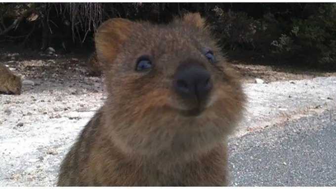 Foto : copyright huffingtonpost.com