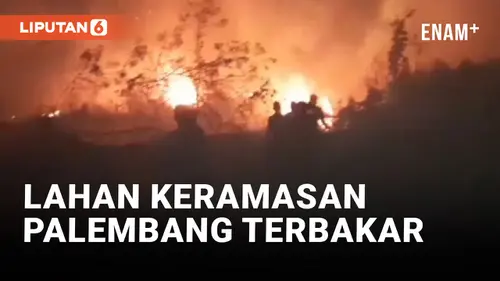 VIDEO: Dua Hektar Lahan di Kawasan Keramasan Terbakar