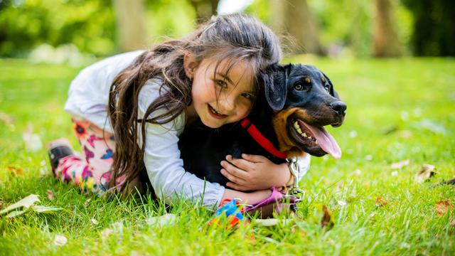 Funny Dog Jokes For Kids