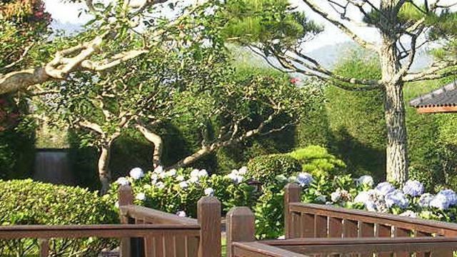 Destinasi Wisata Puncak Bogor