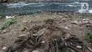 Sejumlah ikan mati akibat tercemar limbah pabrik di kawasan Angsana, Gunung Putri, Bogor, Minggu (27/08/2023). (merdeka.com/Arie Basuki)