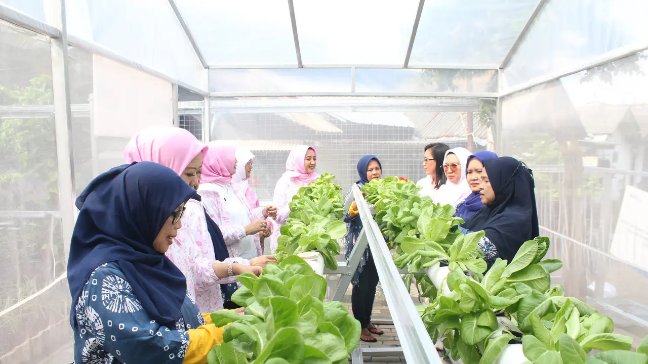 Kampung Hijau Kemuning Tangerang Sulap Lahan Sempit Jadi Makin Produktif