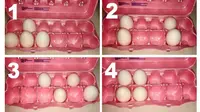 Letak Telur yang Dipilih Dapat Ungkap Kelebihanmu yang Tersembunyi (Sumber: Namatest)
