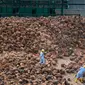 Tandan buah segar di pabrik pengolahan kelapa sawit (Foto: PT Austindo Nusantara Jaya Tbk/ANJT)