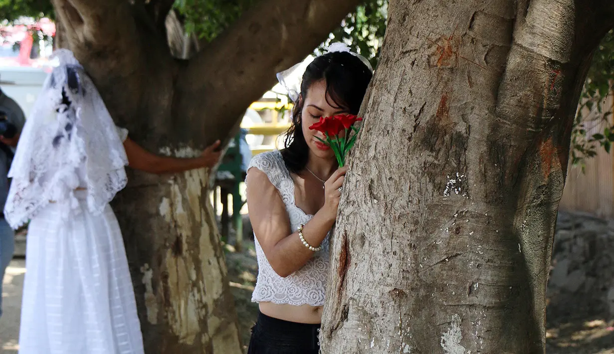 Aktivis lingkungan berpakaian pengantin memeluk dan mencium pohon di San Jacinto Amilpas, Oaxaca, Meksiko, Minggu (25/2). (AFP FOTO/PATRIKIA CASTELLANOS)