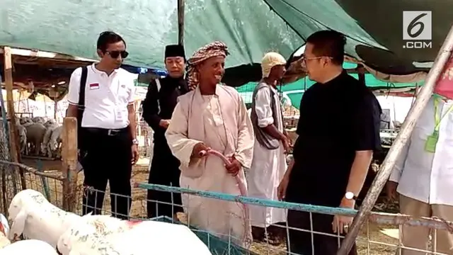 Menteri Agama Lukman Hakim Syaifuddin mengunjungi tempat penjualan dan pemotongan hewan kurban dan dam di Mekah Arab Saudi