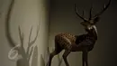Binatang rusa ditampilkan di Pameran seni rupa nusantara 2015 di Galeri Nasional, Jakarta, Kamis (28/05/2015). Sebanyak 106 karya 2 dan 3 dimensional diantaranya lukisan, drawing, object, seni grafis, video art,dll. (Liputan6.com/Andrian M Tunay)