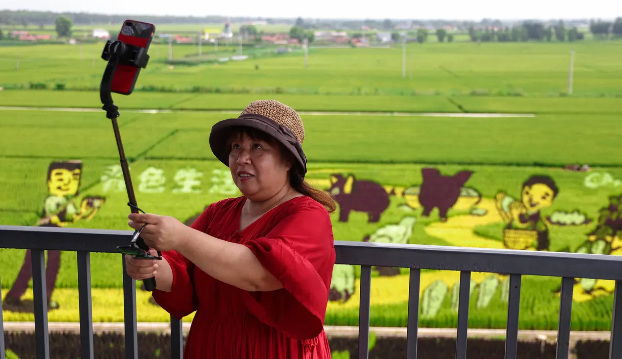 Seorang wanita berswafoto dengan latar belakang sawah bergambar yang dibuat dari berbagai varietas padi di Shenyang, Provinsi Liaoning, China, 17 Agustus2021. (STR/AFP)