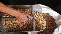 Pekerja tengah mengangkat kacang kedelai untuk dijadikan bahan dasar pembuatan tahu di Jakarta, Rabu (6/1/). Dari kebutuhan sekitar 2,5 juta ton per tahun, 1,7 juta ton diantaranya harus dipenuhi dari impor. (Liputan6.com/Angga Yuniar)