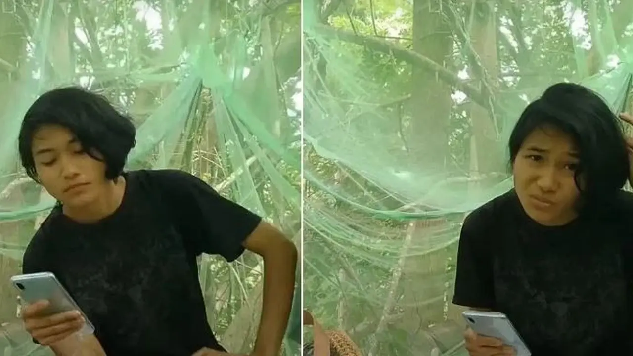 Cari Sinyal Agar Bisa Ujian Online, Gadis Ini Bangun Tenda Pohon di Hutan