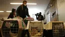 Dokter dan relawan merawat anjing dan kucing yang tiba dari Ukraina di Przemysl, Polandia, Selasa (8/3/2022). Prioritas mereka sekarang adalah menyediakan makanan hewani, obat-obatan dan bantuan medis di Ukraina, tetapi sebagian besar untuk mengevakuasi hewan ke Polandia.(AP Photo/Czarek Sokolowski)