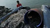 Ribuan bangkai ikan dikumpulkan petugas untuk dikubur, Ancol, Jakarta (30/11/2015). Ribuan ikan yang mati dan terdampar di pantai ini diduga akibat tercemar limbah industri. (Liputan6.com/Gempur M Surya)