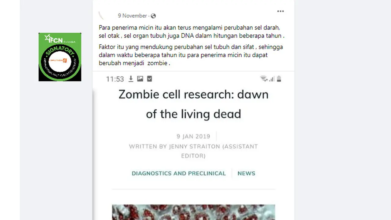 Tangkapan layar klaim penerima vaksin akan berubah menjadi zombie