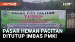 322 Sapi Terdampak PMK, Pasar Hewan Pacitan Ditutup