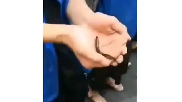 Tak Penuhi Target Penjualan, Pekerja Ini Dipaksa Makan Ikan Hidup