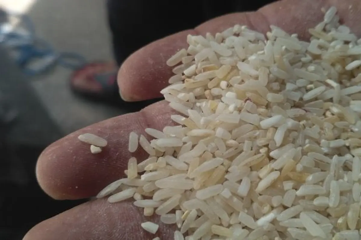 Pedagang Pasar Induk Beras Cipinang menyatakan kualitas beras operasi pasar cenderung jelek sehingga tak diminati konsumen. (Achmad/Liputan6.com)