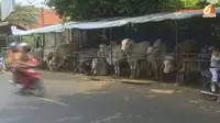 [VIDEO] Hewan Kurban `Menjamur` di Trotoar Ganggu Penjual Makanan
