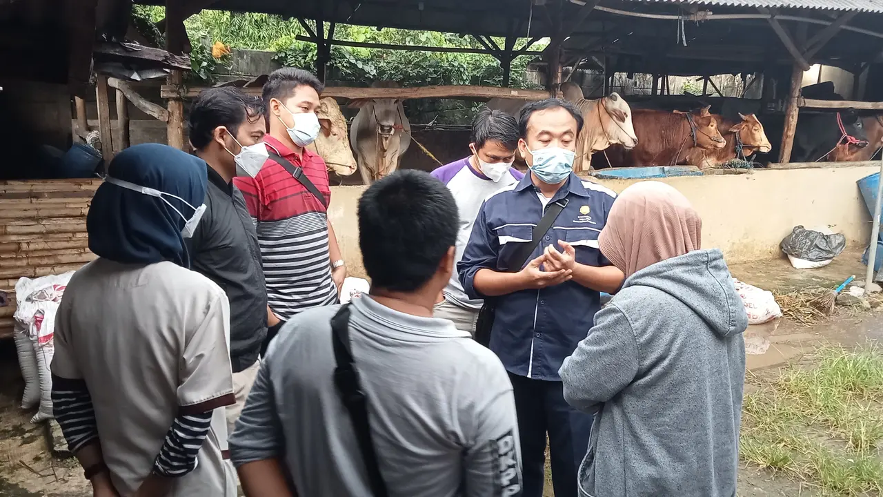 Sapi Mati Diduga Over Dosis Vaksin di Bekasi