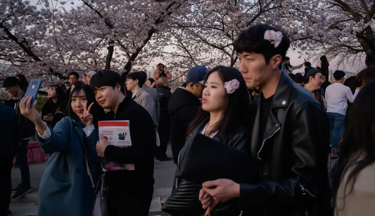 Pengunjung berpose di bawah bunga sakura selama Festival Bunga Musim Semi Yeouido di Seoul, Korea Selatan pada 7 April 2019. Festival ini merupakan festival Cherry Blossom tahunan terbesar yang diselenggarakan pada musim semi di Kota Seoul. (Photo by Ed JONES / AFP)