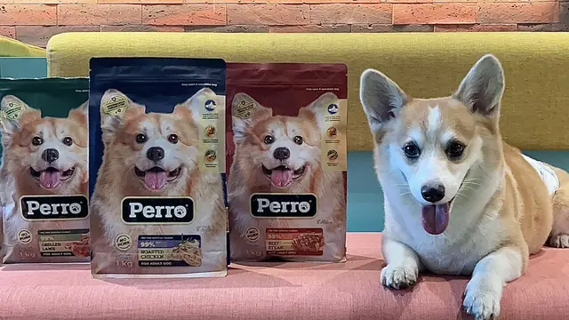 Kino Indonesia meluncurkan Perro, makanan anjing premium yang diformulasikan khusus untuk memenuhi kebutuhan nutrisi yang lengkap serta seimbang untuk hewan peliharaan. (Dok KINO)