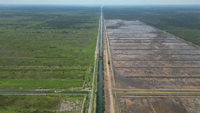 Sawah Lestari: Ombudsman Serukan Revolusi Irigasi untuk Pangan Masa Depan