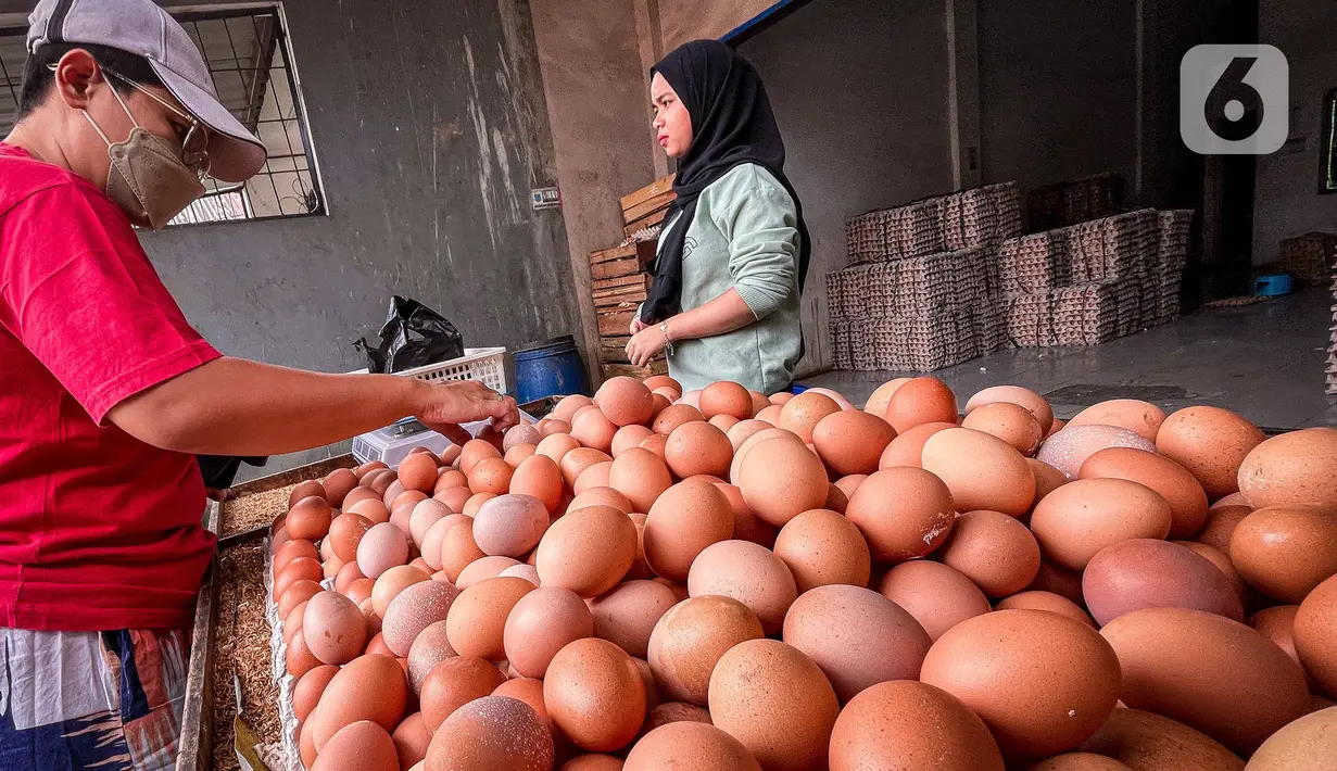 Warga membeli telur pada agen telur di Tangerang, Banten, Selasa (8/3/2022). Menurut pedagang,  pekan ini  harga telur ayam ras mengalami kenaikan dari harga Rp19 ribu menjadi Rp24 ribu per kilogram. (Liputan6.com/Angga Yuniar)